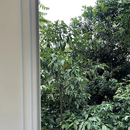 Appartement Cocon Paisible A